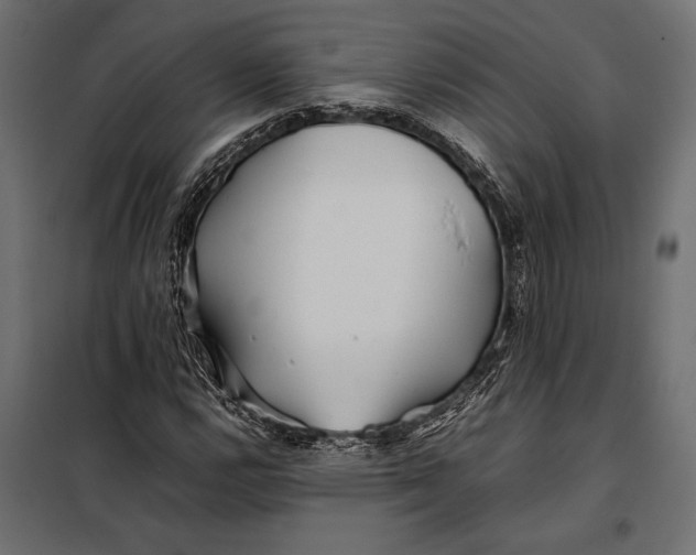 X0000098081112200804251507