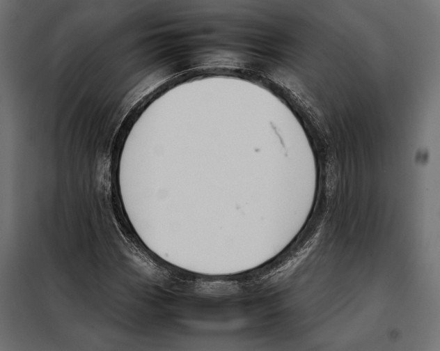 X0000098081113200804251507