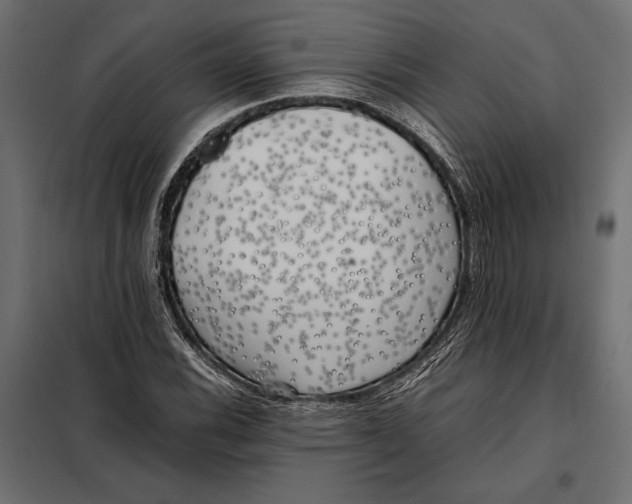 X0000098081116200804251507