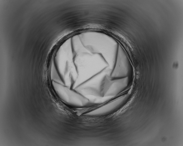 X0000098081117200804251507