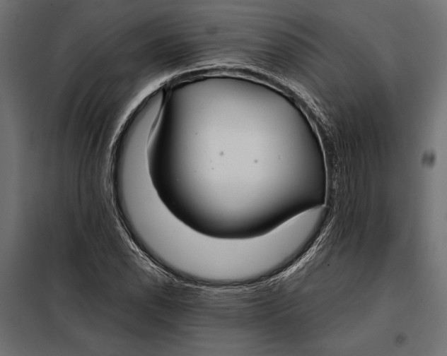 X0000098081118200804251507