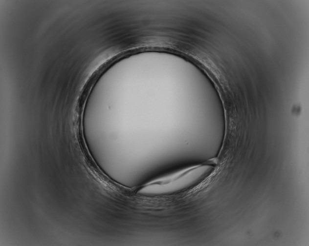 X0000098081119200804251507