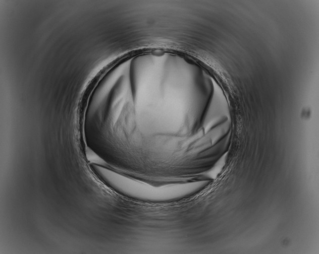 X0000098081120200804251507