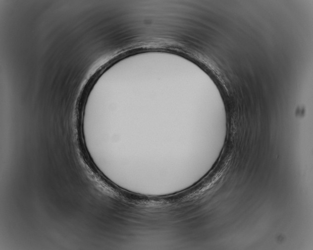 X0000098081122200804251507