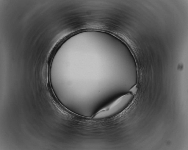 X0000098081123200804251507