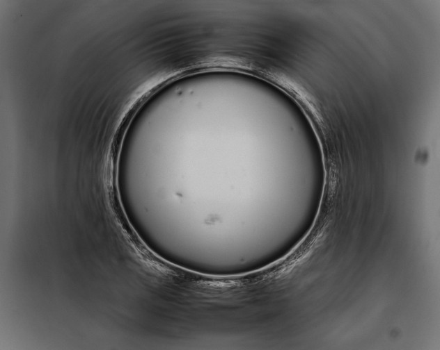 X0000098081125200804251507