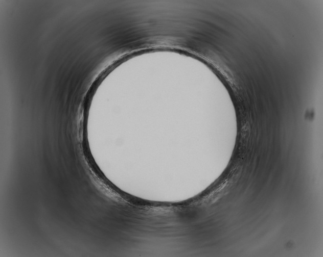 X0000098081126200804251507