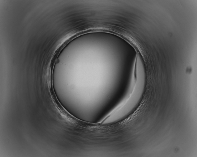 X0000098081127200804251507