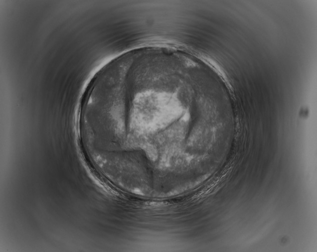 X0000098081128200804251507