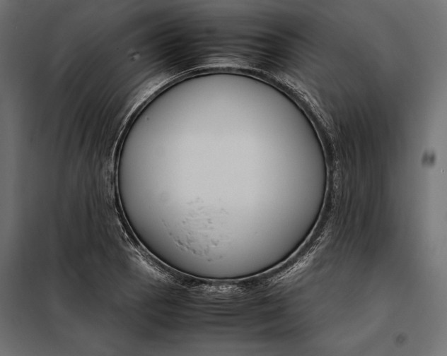 X0000098081129200804251507