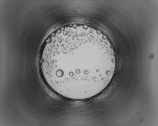 X0000098081130200804251507