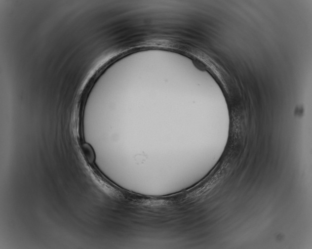 X0000098081131200804251507