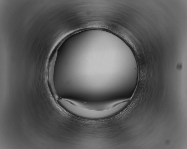 X0000098081132200804251507