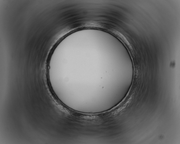 X0000098081133200804251507