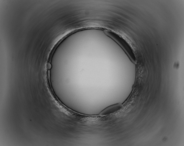 X0000098081134200804251507