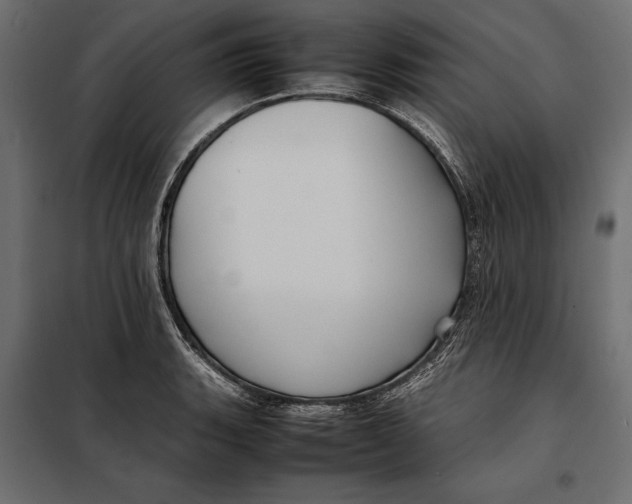 X0000098081135200804251507