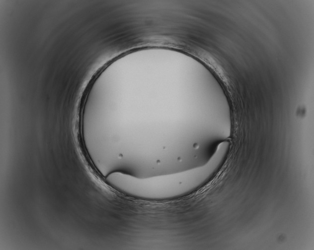 X0000098081136200804251507