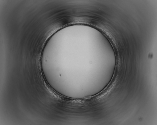 X0000098081137200804251507