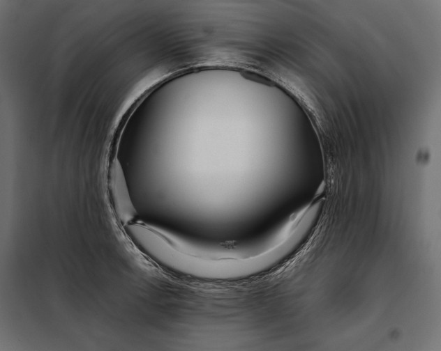 X0000098081138200804251507