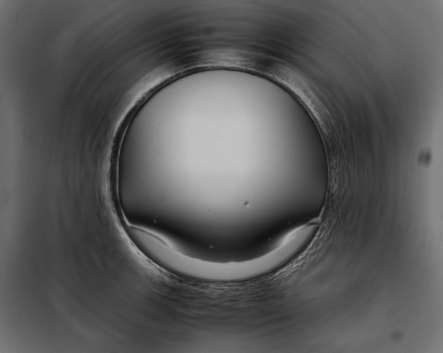 X0000098081139200804251507