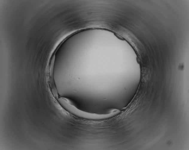 X0000098081140200804251507