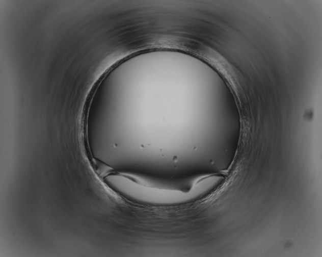 X0000098081141200804251507