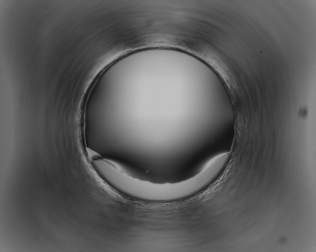 X0000098081142200804251507