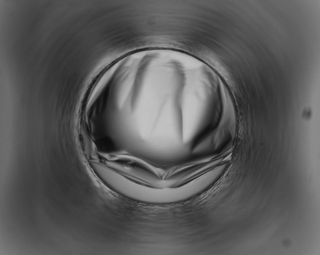 X0000098081144200804251507