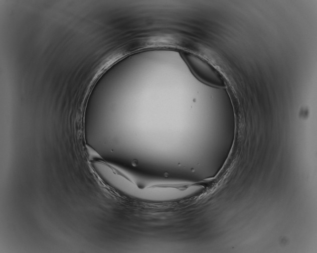 X0000098081145200804251507