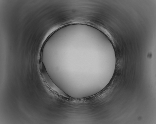 X0000098081146200804251507