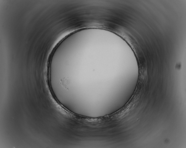 X0000098081147200804251507