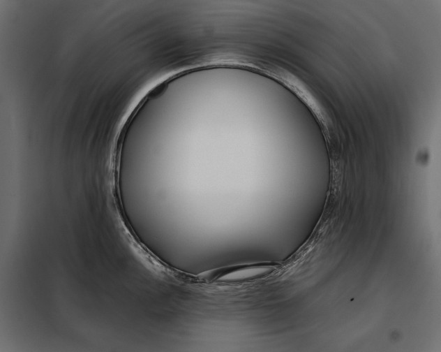 X0000098081148200804251507