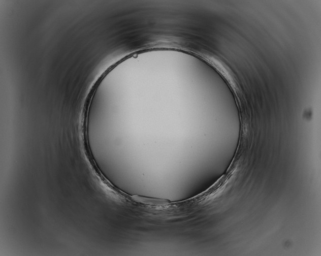 X0000098081149200804251507