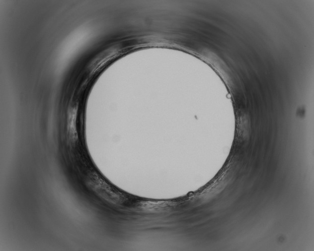 X0000098081150200804251507