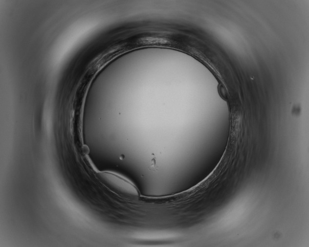 X0000098081151200804251507