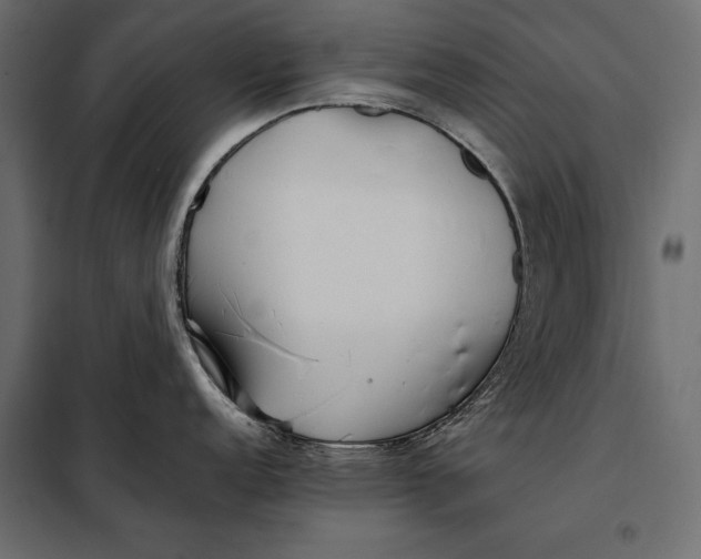 X0000098081152200804251507