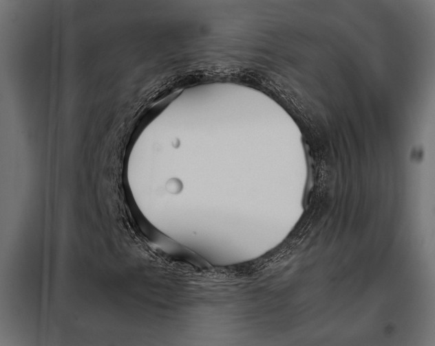 X0000098081153200804251507