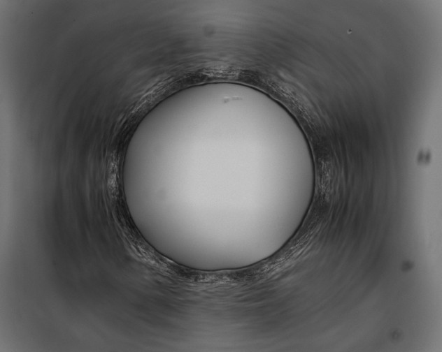 X0000098081154200804251507