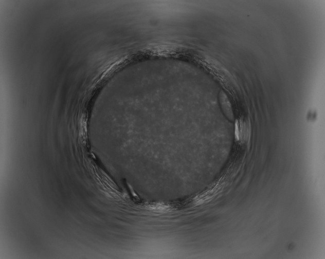 X0000098081155200804251507