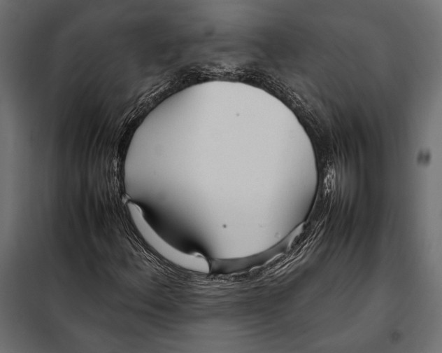 X0000098081156200804251507