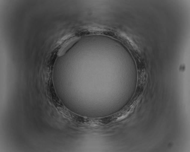 X0000098081157200804251507