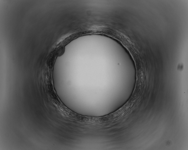 X0000098081158200804251507