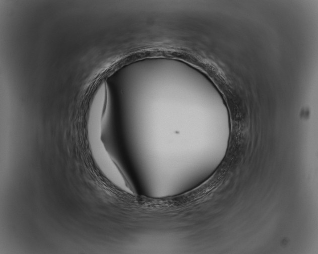 X0000098081159200804251507