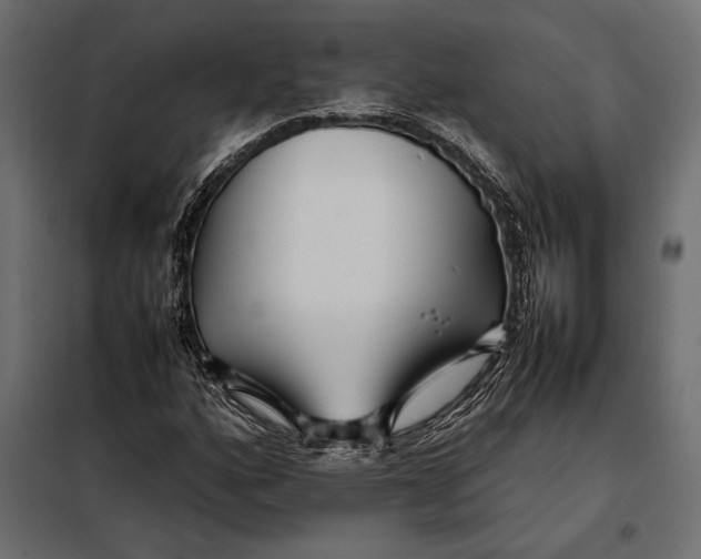 X0000098081160200804251507