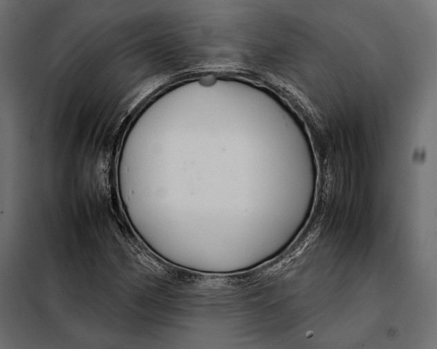 X0000098081162200804251507