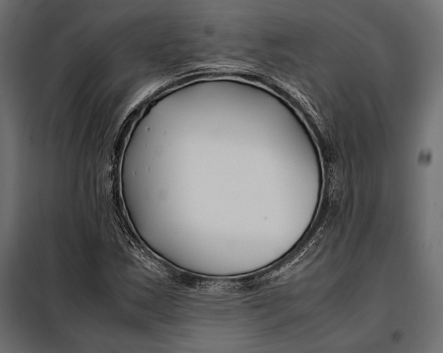 X0000098081163200804251507