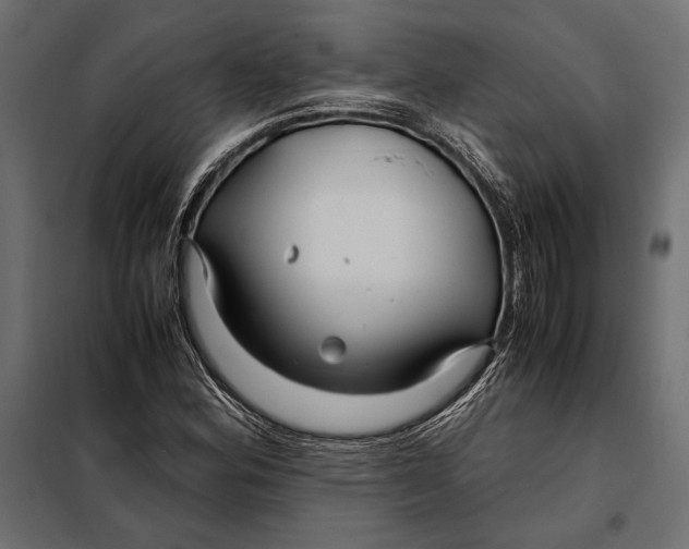 X0000098081164200804251507