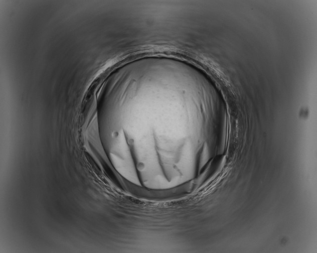 X0000098081165200804251507