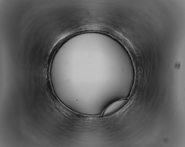 X0000098081166200804251507