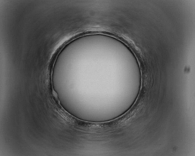 X0000098081167200804251507